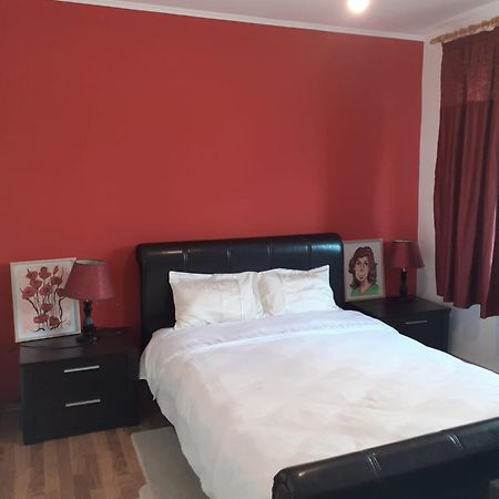 Apartament cu 3 camere la poala Munților Făgăraș Victoria  Exterior foto