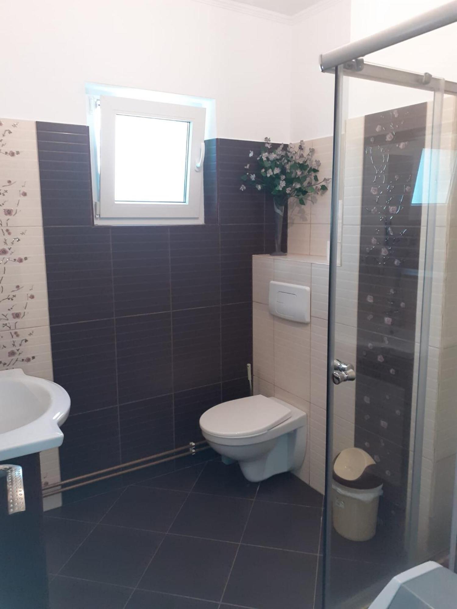 Apartament cu 3 camere la poala Munților Făgăraș Victoria  Exterior foto