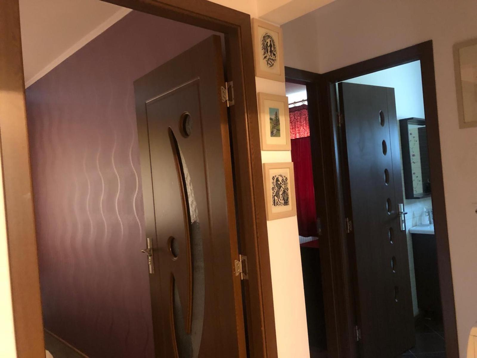 Apartament cu 3 camere la poala Munților Făgăraș Victoria  Exterior foto
