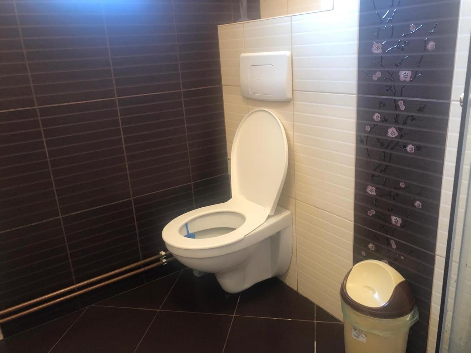 Apartament cu 3 camere la poala Munților Făgăraș Victoria  Exterior foto