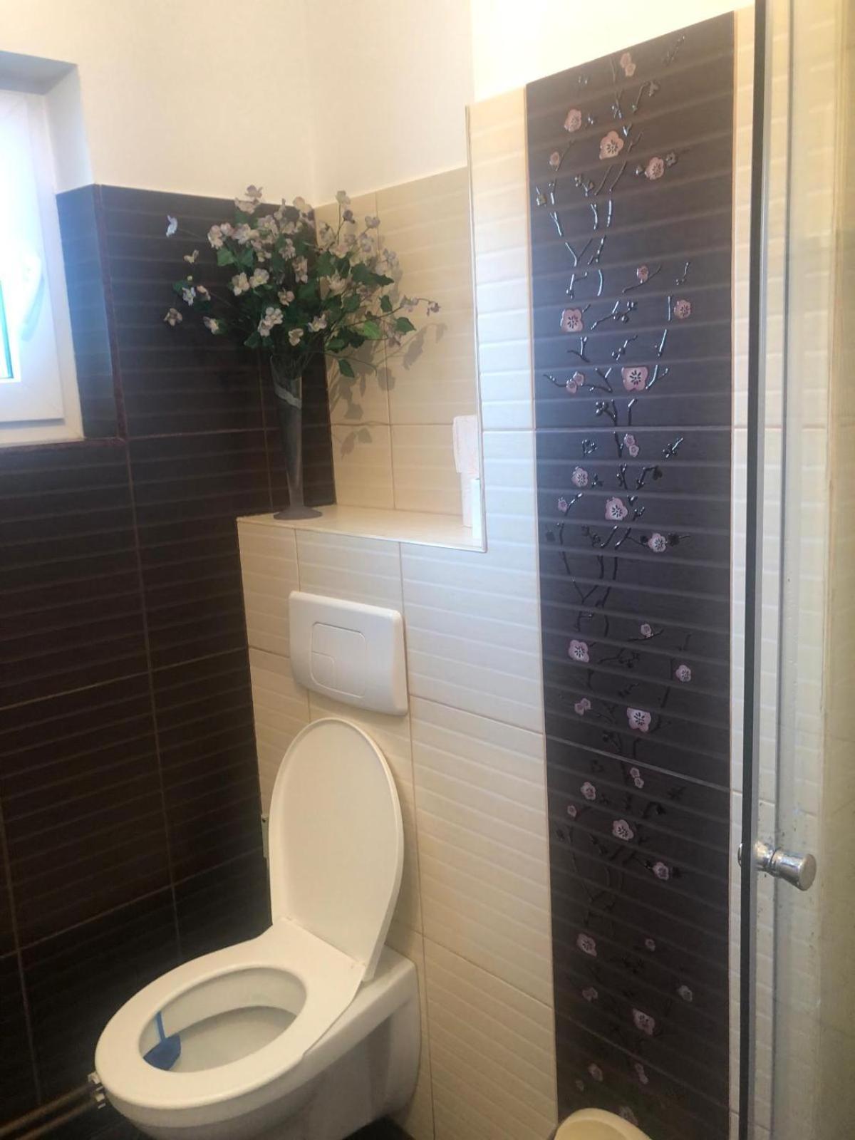 Apartament cu 3 camere la poala Munților Făgăraș Victoria  Exterior foto