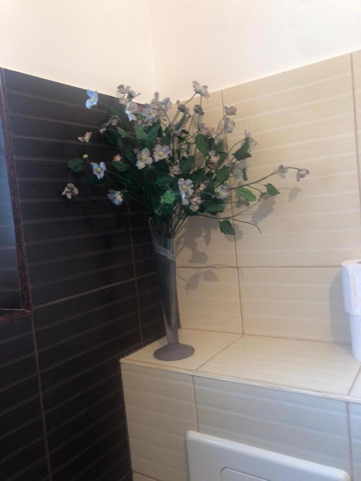 Apartament cu 3 camere la poala Munților Făgăraș Victoria  Exterior foto