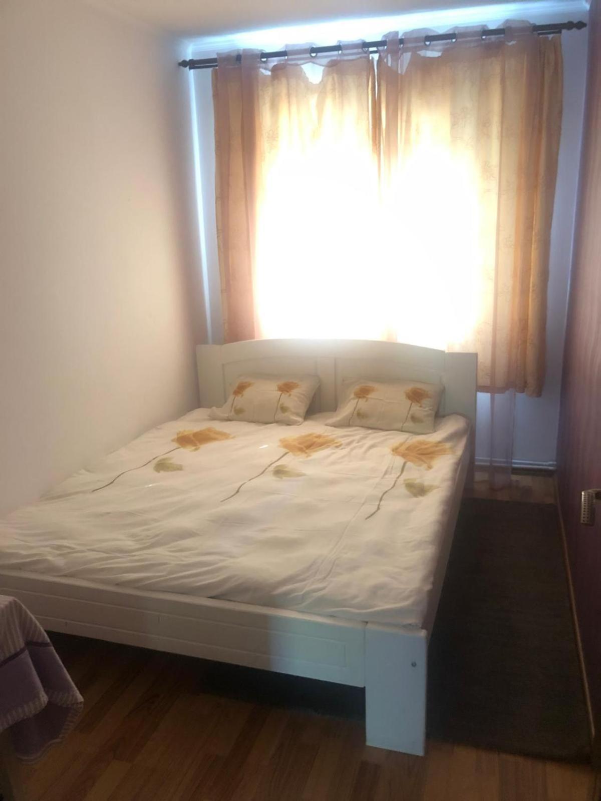 Apartament cu 3 camere la poala Munților Făgăraș Victoria  Exterior foto